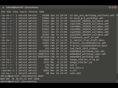 Understanding the binary output file from fwrite()
