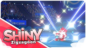[Live] Shiny Galarian Zigzagoon in Pokemon Shield at 282 Random Encounters!