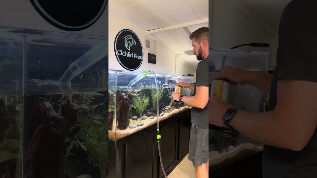 Water Change on the 180 Gallon #aquarium