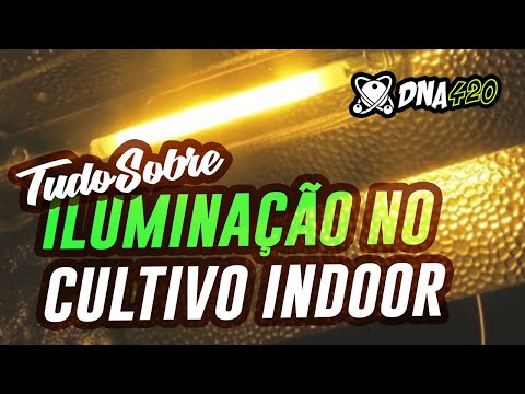 Vídeo: Diferença entre luzes de LED e luzes de cultivo: as luzes de LED são melhores para as plantas