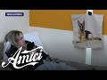 Amici 26 - Shari si racconta