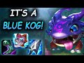I&#39;m Tired of ADC, IT&#39;S TIME For AP KOG Bot! | Saber