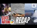 State of the Nation: (Recap) Animal cruelty; Bantay kaban; MV Trisha Kirsten 3