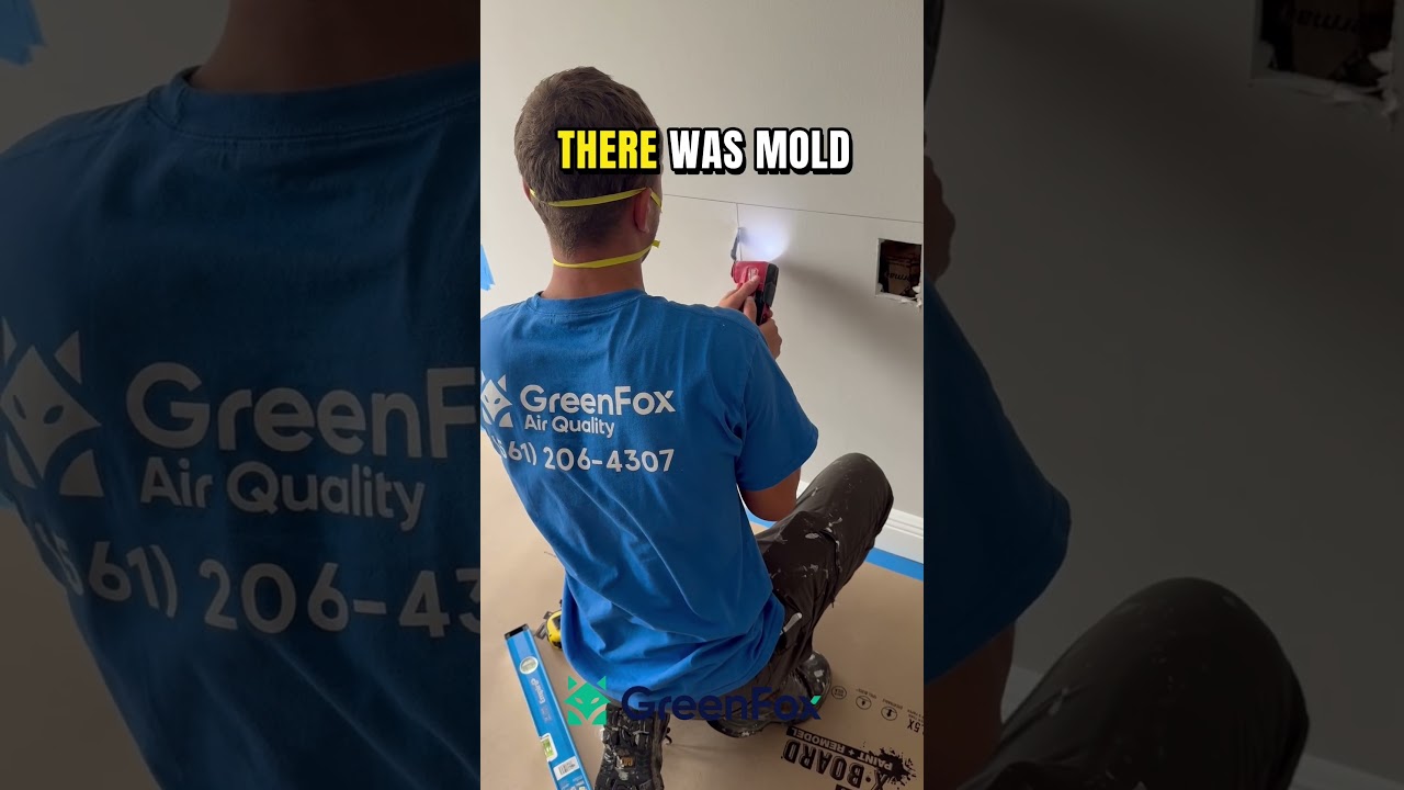 How To Contain And Prevent Mold From Spreading 🦠👃#molddamage