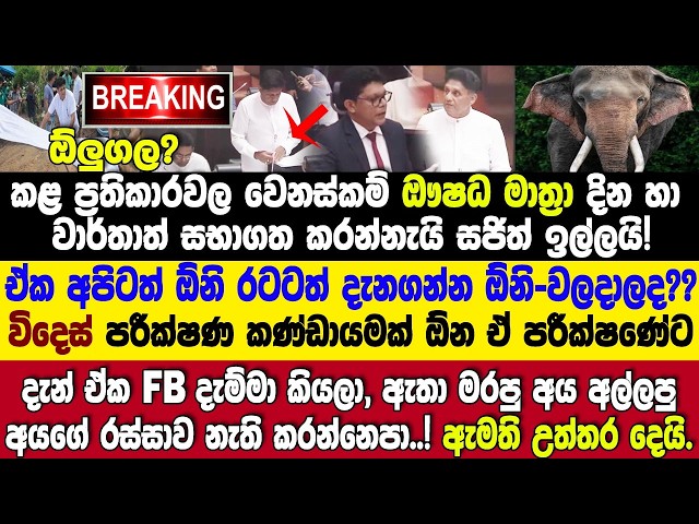 🚨ඒකFBදැම්මා කියල ඇතා මරපු අය අල්ලපු අයගේ JOBනැතිකරන්නෙපා! කාවන්තිස්සගේ රටේම ප්‍රශ්නේ සජිත්