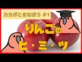 【カカポと学ぼう】りんごの整腸作用食の雑学【パーティーパロット】