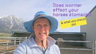 Does Wormer Effect Your Horses Stomach And What You Need To Do