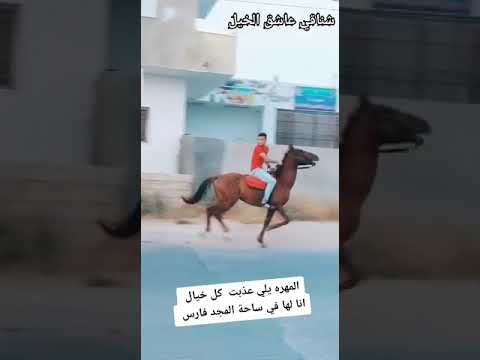 المهره يلي عذبت كل خيال انا لها في ساحه المجد فارس