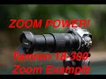 The POWER of ZOOM!  Tamron 18-300 Zoom Example on a Fuji XT-3!