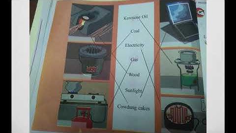 Std 3 Evs Ch 10 Part 2