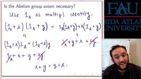 Rings (Commutative Algebra 1)