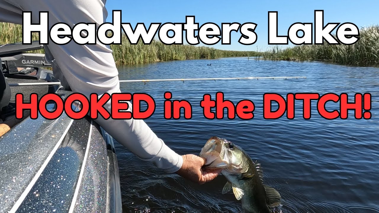 Bass Fishing Headwaters Lake: Canals and Ditches Are LOADED!