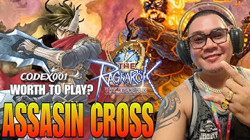 THE RAGNAROK 💥 ASSASSIN LEVEL 60 ENDLESS TOWER TEST DAMAGE