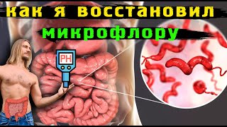 Как я восстановил микрофлору кишечника