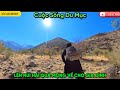 Cuộc sống du mục - Cô gái lên núi hái quả ngọt cho gia đình và bữa trưa thảnh thơi giữa núi rừng
