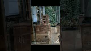 Box Cla  215 ceksound battlesound brewog horeg