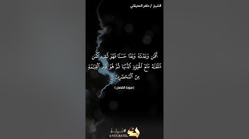 سورة القصص (61-70) بصوت ماهر المعيقلي