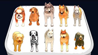 Dog Evolution Run - Gameplay Walkthrough ⚜️ Merge Master screenshot 1