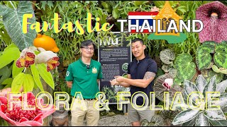 Discover Botanical Wonders at Queen Sirikit Botanic Gardens with Plant Expert Piyakaset (Thailand)