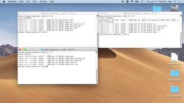 Is it Worth it to Compress Media with xz, bzip2, gz or zip?