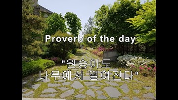 (Korean Proverb 3) Even monkeys fall from trees.