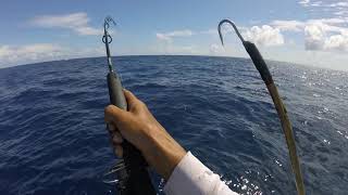 How I like to catch wahoo on live bait and a spinner