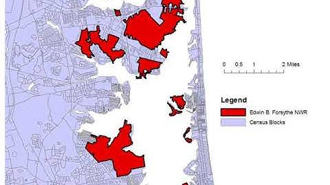 Benefit Cost Analysis and Ecosystem Services How We Value the Environment and the Role of GIS