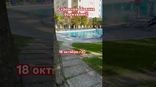 #чтовижутопою#италия#итальянскиеканикулы