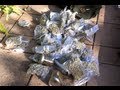Dude finds 175k of weed stashed in yard  newsbreaker  oratv