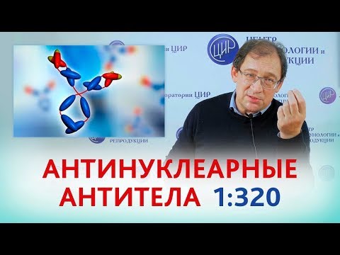 Видео: Разработване на инструмент за измерване на грижа за майчинство, ориентирана към личността, при разработване на условия: валидиране в селското и градското население на Кения