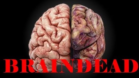 These THINGS Will Kill your BRAIN