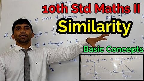 chapter 1 maths part II similarity | concept of similarity ratio of areas of two triangle