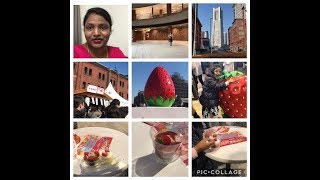 sunday vlog part 1||Red Brick Warehouse yokohoma||Land mark tower ||strawberry festival at yokohoma