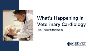 What's Happening in Veterinary Cardiology