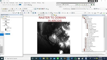 CONVERT RASTER TO DOMAIN IN ARCGIS