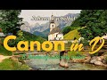 Canon In D Best Version 8 Hours Of Music Pachelbel