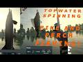 Ultimate Fishing Simulator Quick Spinning Session on Zeno's Lake Spot 7