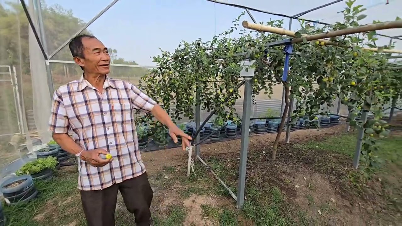 ท่องเที่ยวเชิงเกษตรสวนพุดซากลางมุ้งลุงบุญมี