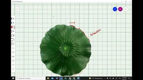 Mathematics Form 1 Chapter 10 Perimeter and Area