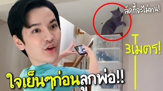 ลัคกี้โดนลูกแมวไล่ไม่ให้อยู่ในบ้าน เป็นแมวก็มีหัวใจ!!!