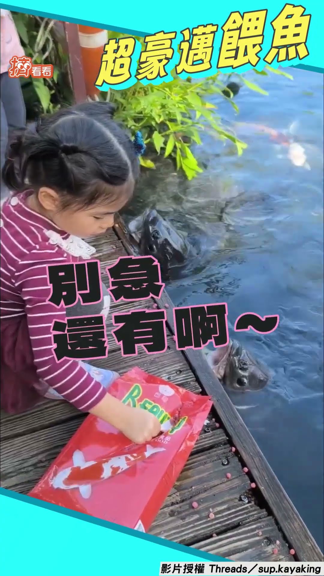 4歲妹豪邁「滿滿一湯匙」餵魚! 「超澎湃送進嘴」網笑:阿嬤式餵法｜TVBS新聞@TVBSNEWS01