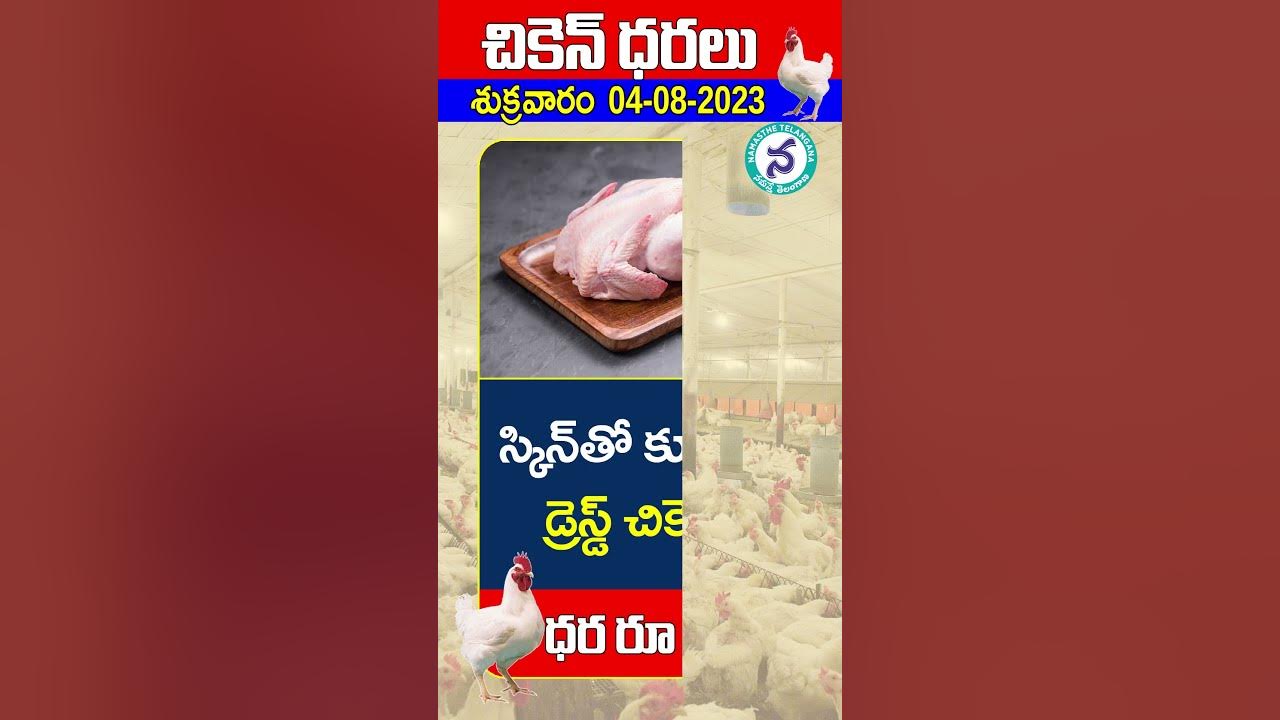 0482023 Chicken Price in Telangana Chicken Price Today Chicken