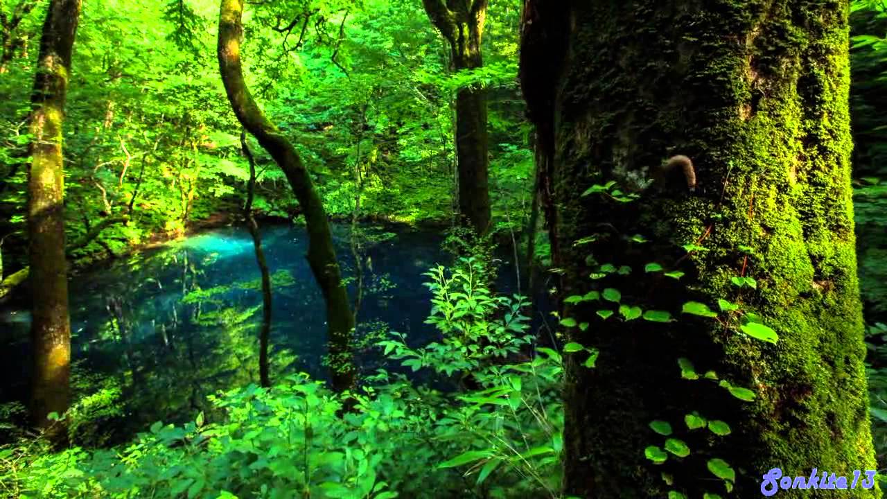 Watch Sebastien Marchal - Yellow on YouTube Watch Sebastien Marchal - Yellow on YouTube