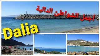 جولة في بحر الدالية من أجمل شواطئ الشمال المغرب طنجة المطلة على إسبانية#dalia#tanger#españa#