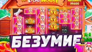 видео: БЕЗУМИЕ! / СЕРИЯ ЗАНОСОВ В НАЧАЛЕ И СУМАСШЕДШАЯ КОНЦОВКА В The Dog House Megaways / ЗАНОС НЕДЕЛИ И.. картинка: БЕЗУМИЕ! / СЕРИЯ ЗАНОСОВ В НАЧАЛЕ И СУМАСШЕДШАЯ КОНЦОВКА В The Dog House Megaways / ЗАНОС НЕДЕЛИ И..