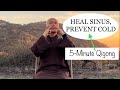 Heal sinus prevent cold  5minute qigong massage