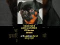 भाई ये सब क्या है , ये ठीक नहीं है , हम लड़के है तो क्या इसमें हमारी गलती है क्या ? #shortsvideos