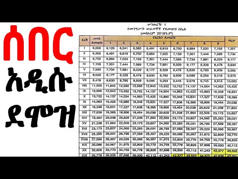 አዲሱ የመንግስት ሰራተኞች ደሞዝ እርከን ይፋ ሆነ ደሞዝ Demoz