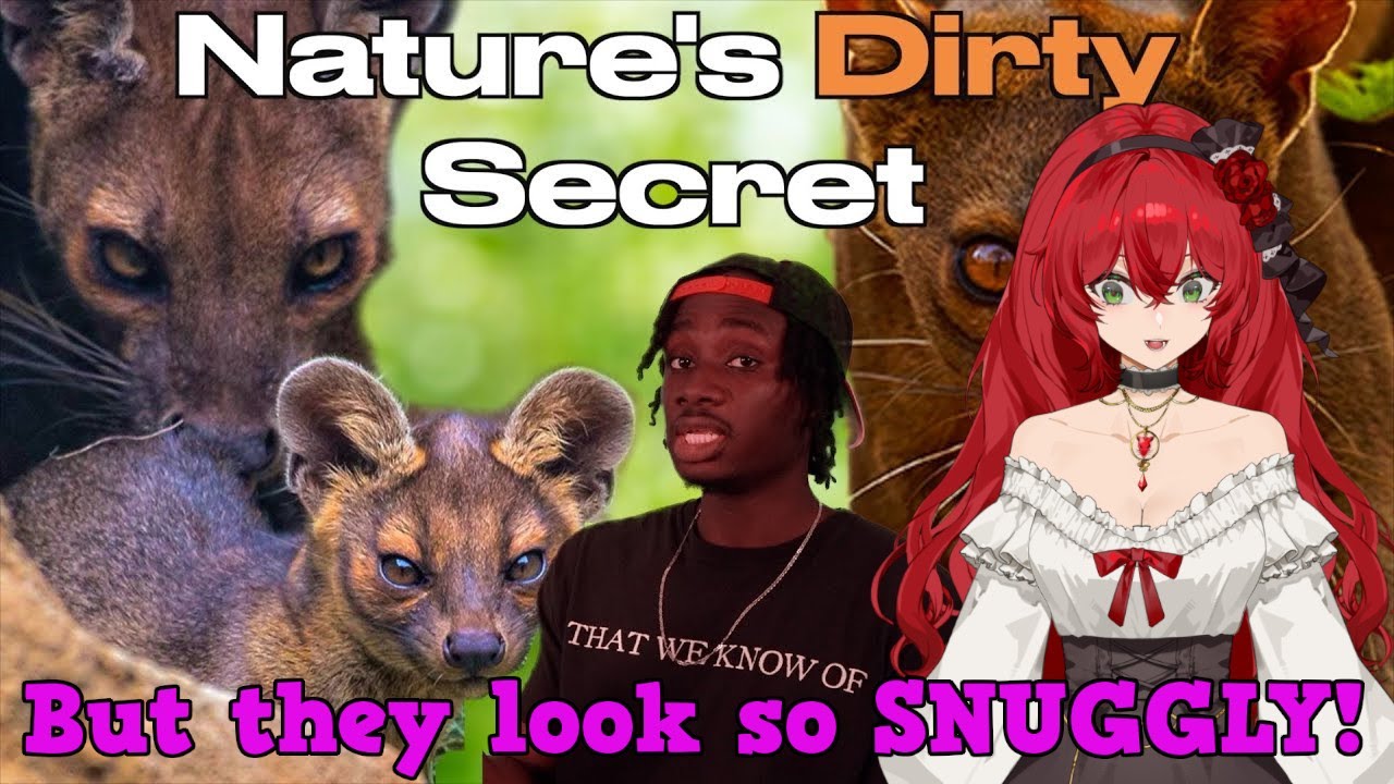 I guess there's a reason King Julien was so scared || Casual Geographic react