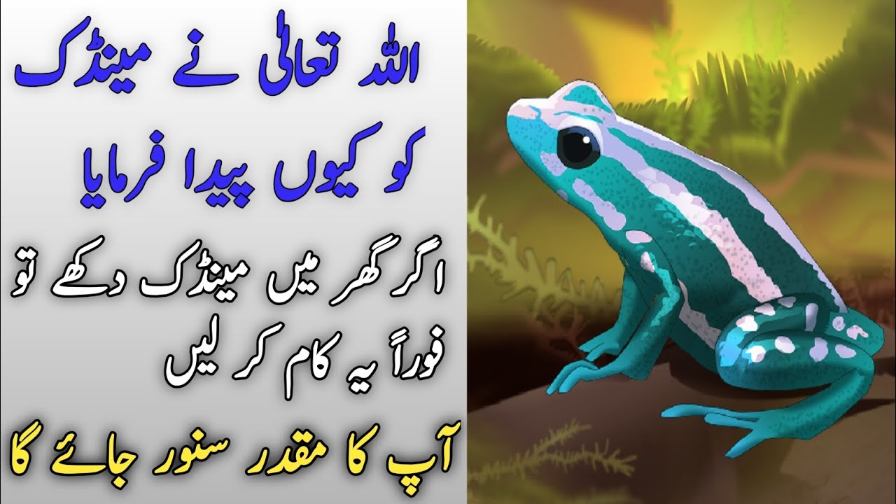 Allah Nay Mandak Ko Kyu Paida Kea Maindak (Frog) Ko Gar Sy Baghany Sy